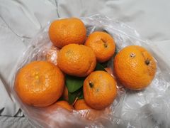 -百果园(芳华路店)