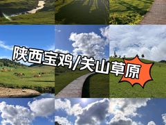 -关山草原