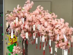 -北京明德医院