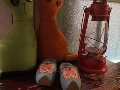 -猫咪博物馆(顶澳仔猫街店)