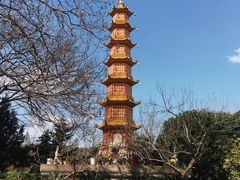 -墨茉点心局(国金街店)