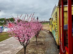 -歌斐颂巧克力小镇