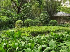 -晓港公园