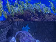 -成都浩海立方海洋公园