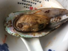 青口贝-七欣天(浦东羽山乐坊店)