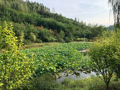 -白鹿原影视城