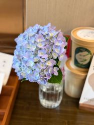 -和伊母婴护理中心·全套房(金山店)