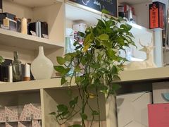-红卡Cafe(尚8里店)