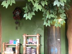 -猫猫幼稚园·撸猫·桌游·电玩