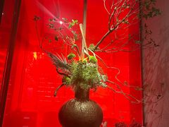 -星·South Beauty·俏江南(国贸店)