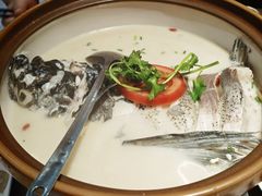 千岛湖浓汤鱼头-全乐鱼馆·淳牌有机鱼直营店