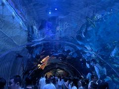 -华夏文旅海洋公园