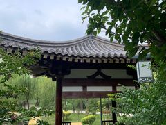 -武清南湖绿博园