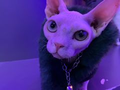 -极木²邸 人与宠物·互动社区