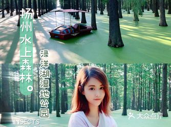 扬州｜超适合拍照的水上森林