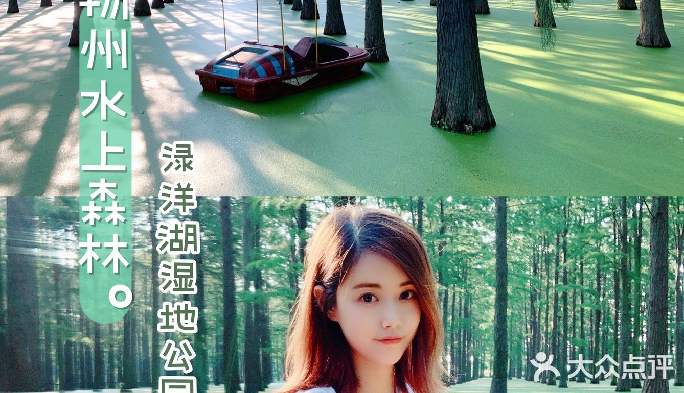 扬州｜超适合拍照的水上森林🌲