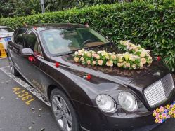 -蚂蚁婚车