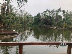 -海南热带野生动植物园