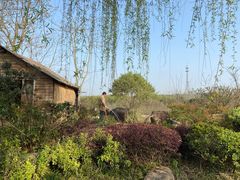 -茅山东方盐湖城景区