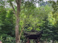 -凤栖山