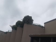 -上海崇明金茂凯悦酒店