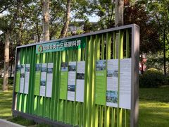 -唐城墙遗址公园