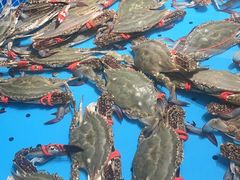 -渔港甄宴·海鲜·地标烟台菜(金沙滩店)