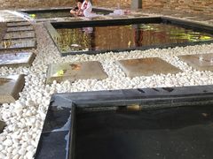 -盘锦红海温泉乐园