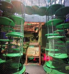 -恐龙探索乐园(磁器口店)