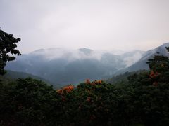 -广州市石门国家森林公园