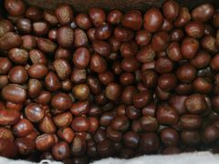 -粒上皇(新闻路店)