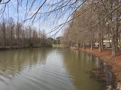 -上海海湾国家森林公园