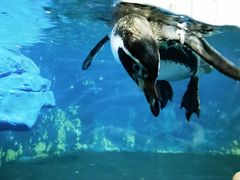 -太平洋海底世界