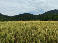 -东钱湖旅游度假区