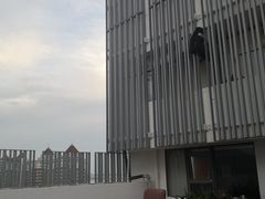 -珠海拱北口岸希尔顿欢朋酒店