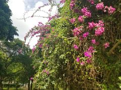 -白沙门生态公园