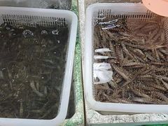 -江杨农产品批发市场