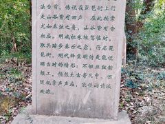 -灵谷景区