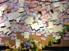 -长藤鬼校(龙翔店)