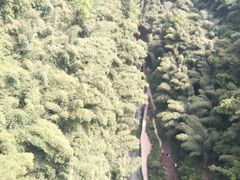 -川西竹海景区