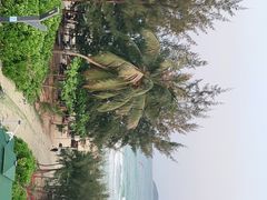 -亚龙湾中心广场