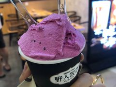 -野人先生现做冰淇淋(北京环宇荟店)