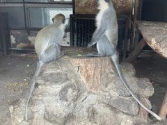 -新疆天山野生动物园