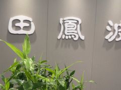 -田凤波推拿.按摩养生(幸福店)