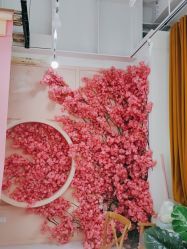 点击看大图 -小阿福儿童摄影(华中智谷店)