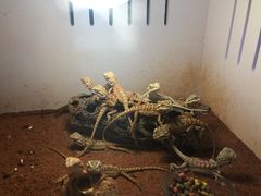 -三旗百汇商品城