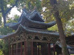 -晋祠公园