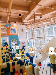 -反弹蹦床公园·运动乐园·团建·亲子派对(深圳观澜湖店)