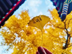 -承恩寺