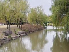-上海滨江森林公园